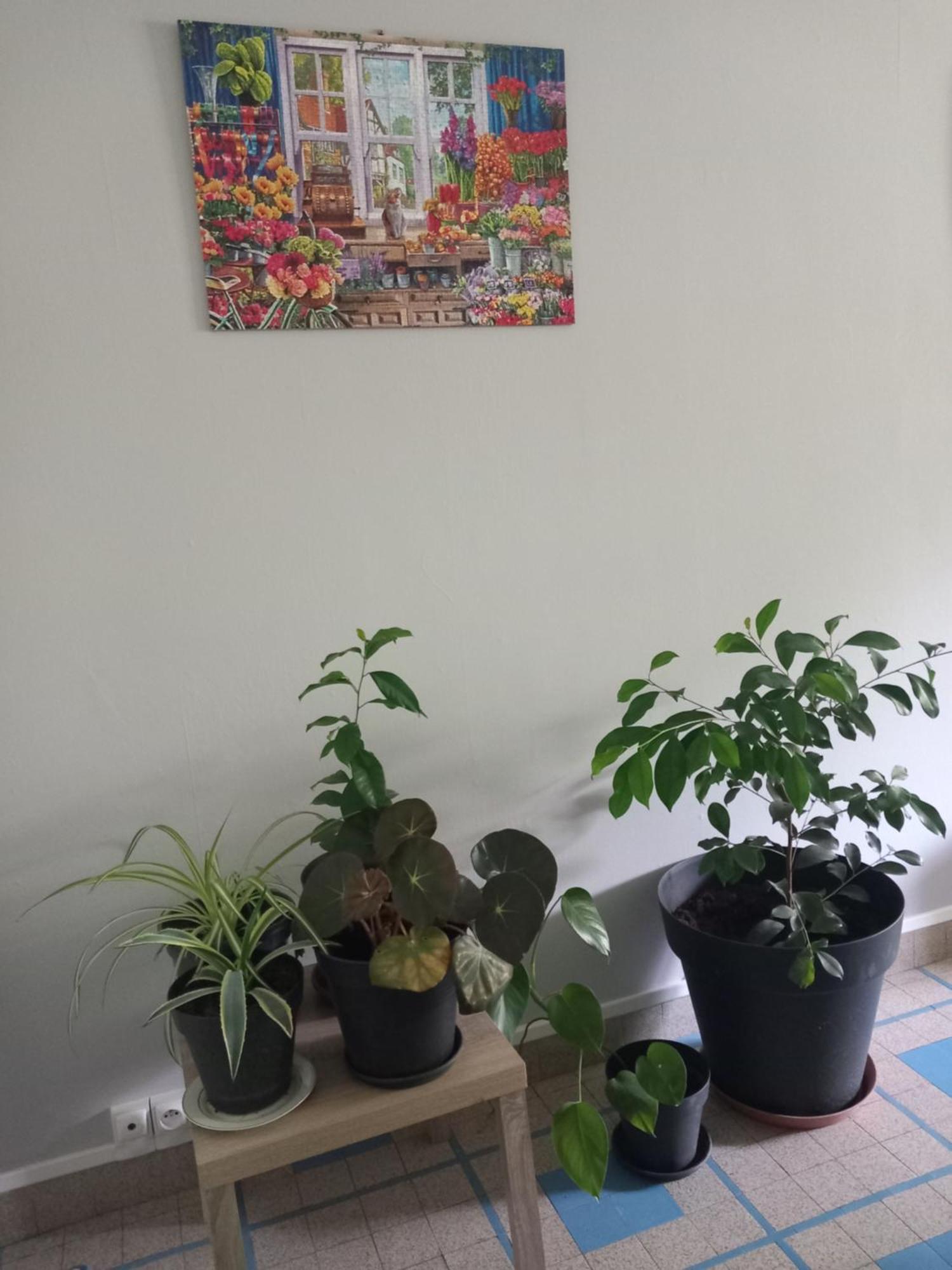 Appartement Les Cyclamens 1 à Cosne-Cours-Sur-Loire Extérieur photo